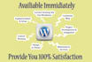 customize or modify wordpress website, theme