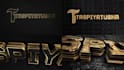 create black and gold 3d logo animation video in 24h