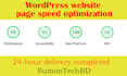 speed optimization wordpress website