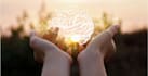 do all clearing using emotion code and body code