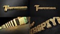 create gold 3d logo animation intro video within 24h
