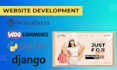 create professional web applications using python and django