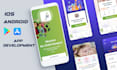 provide professional web app development services