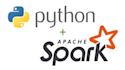 coding in python, spark, sql in data science or data engineer