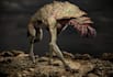 create a creature for games