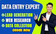 do data entry lead generation and web research