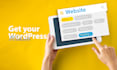 develop a clean and modern wordpress website