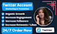 be your twitter manager and content create
