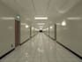do a realistic backroom film or render for you