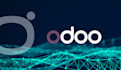 do your odoo erp customizations