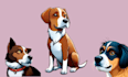 make your pet cartoon