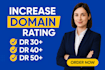 do increase your website ahrefs DR domain rating 30 plus