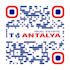 create professional qr code generator with logo and delivery within 1 day