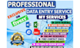 excel data entry, copy paste and web research expert