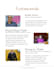 draft, translate and review contracts