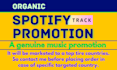 promote your spotify music by targeted ads to real audience
