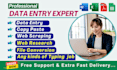 do perfect data entry, copy paste, web research and file convert