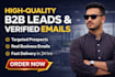 do b2b lead generation and data entry