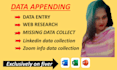 do data enrichment, data appending, and missing excel data entry
