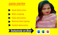 do  manual data typing, data extraction, and spreadsheet cleanup work