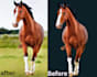 cut out image backround removal professional