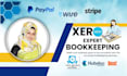 do catchup cleanup xero expert bookkeeping accounting