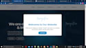custom wordpress development and PHP programming services
