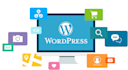 create and maintain a wordpress website