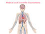 design medical and scientific illustrations, and infographics