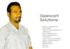 install and customize opencart ecommerce site, fix opencart