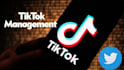 be your twitter and tiktok manager