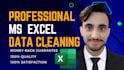 be professional excel data cleaning, organize and merge data