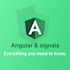 develop angular website with different angular versions