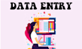 be your expert virtual assistant for efficient data entry