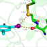 do molecular docking MD simulation 2d 3d modeling admet drug discivery
