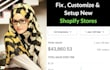fix, customize, and set up shopify dropshipping store