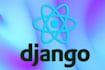 develop full stack websites using django, javascript, reactjs and python apis