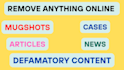 permanently remove mugshots, defamatory articles, cases,  news, negative links