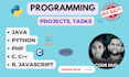 do java c cpp r python programming tasks and assignments