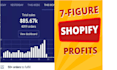build you a passive income generating dropshipping shopify store