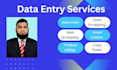 provide impeccable solutions on data entry services