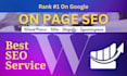 do wordpress or shopify and wix, onpage seo, and technical audit