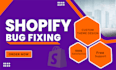 build and design a custom shopify store and shopify dropshipping store