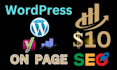 do on page SEO, google search console setup and high backlinks