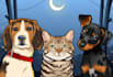 draw your pets, dogs, cat into amazing cartoon art