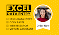 do fastest excel data entry, copy paste, web research, and any data entry task