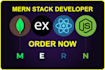 do dynamic web app using react next js, node js, mongodb pwa