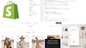 shopify expert bug fixes, liquid coding, responsive design