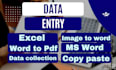 provide copy paste, image to word, word to pdf conversion services