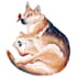 draw your very cute pet
